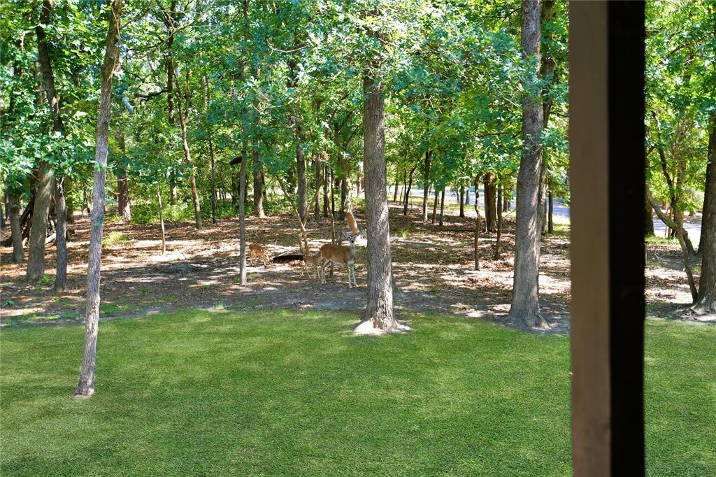 Holly Lake Ranch (Sec 8) - Residential