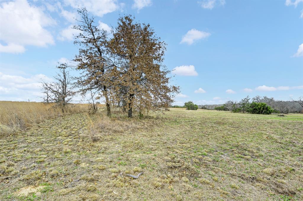 Stallion Meadows Estates Ph - Land