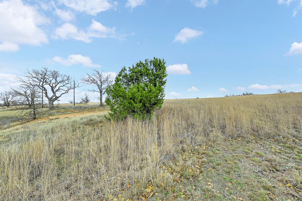 Stallion Meadows Estates Ph - Land
