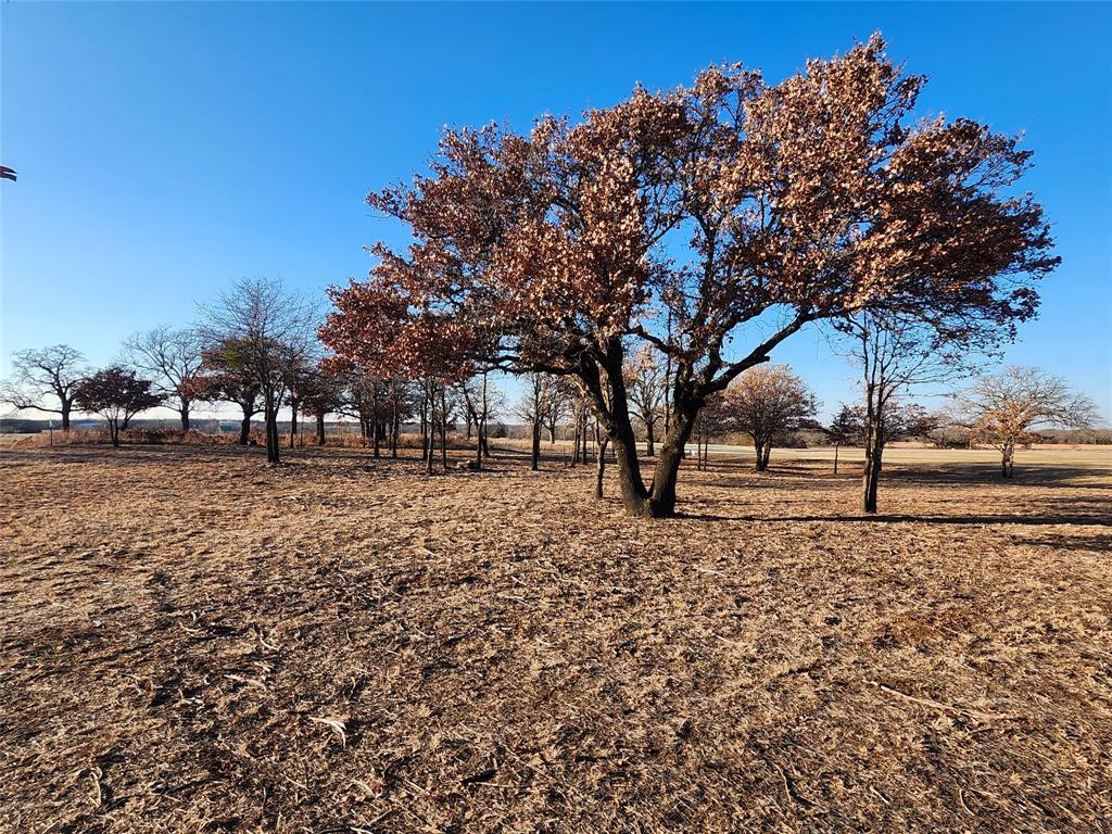 Nocona Hills - Land
