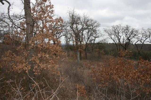 7-R Ranch - Land