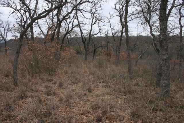 7-R Ranch - Land