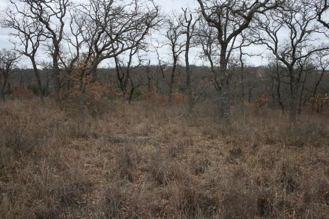 7-R Ranch - Land