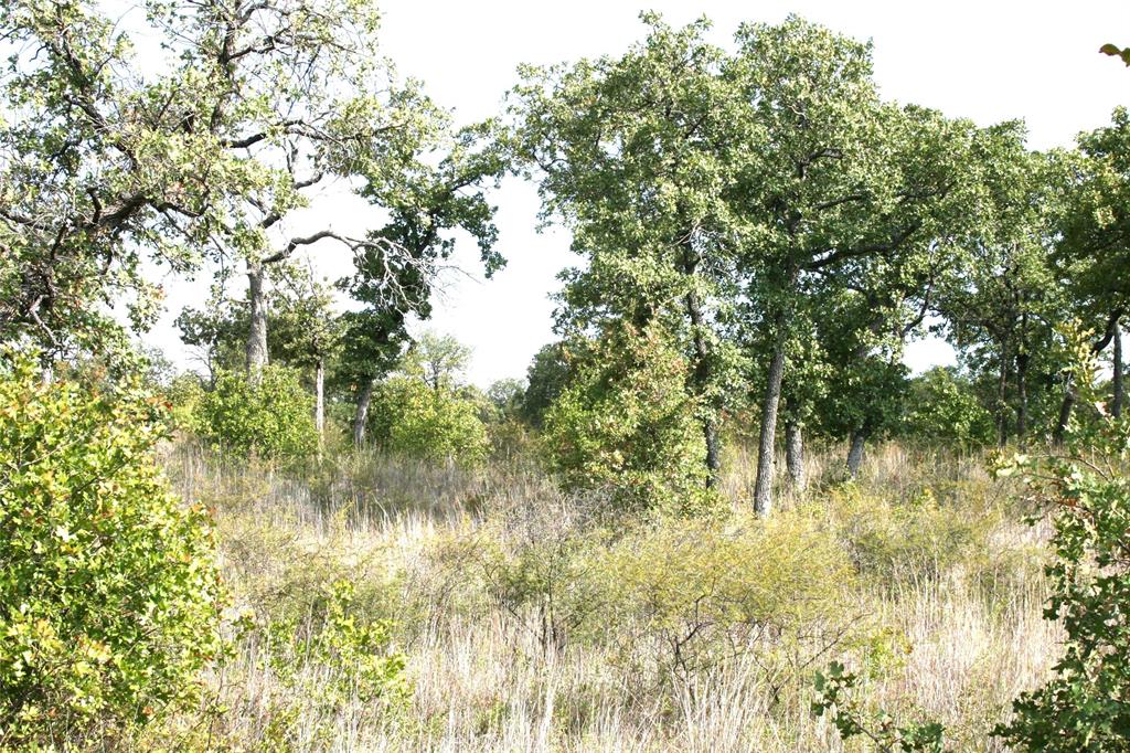7-R Ranch - Land