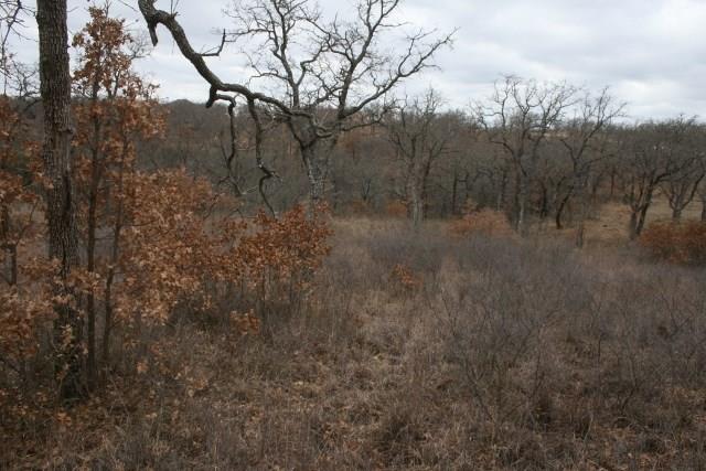 7-R Ranch - Land