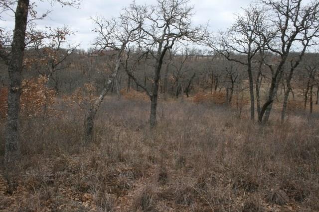 7-R Ranch - Land