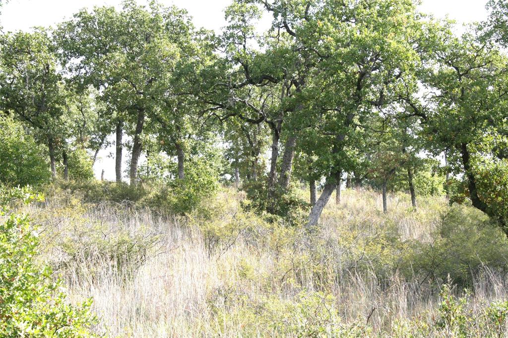 7-R Ranch - Land