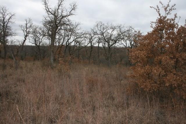 7-R Ranch - Land
