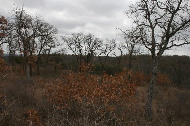 7-R Ranch - Land