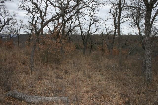 7-R Ranch - Land