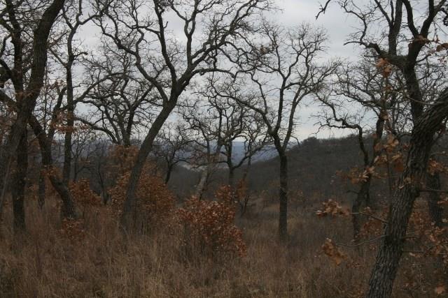 7-R Ranch - Land