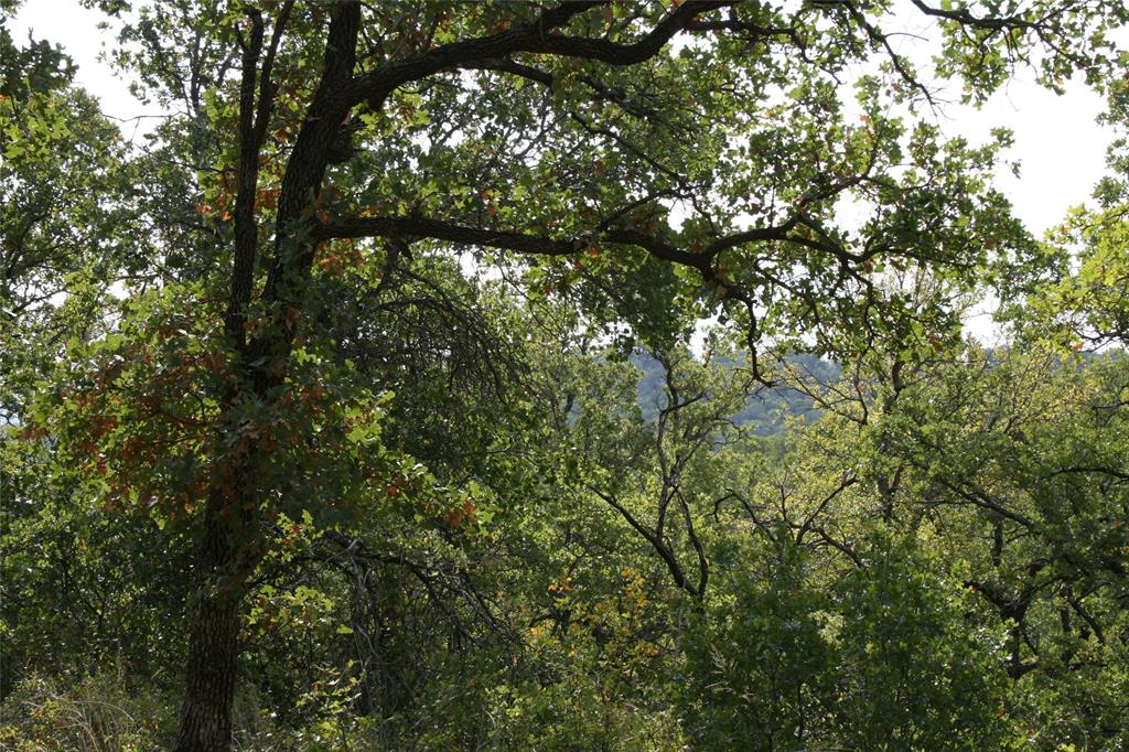 7-R Ranch - Land