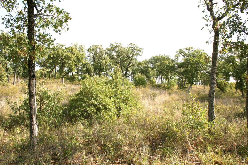 7-R Ranch - Land