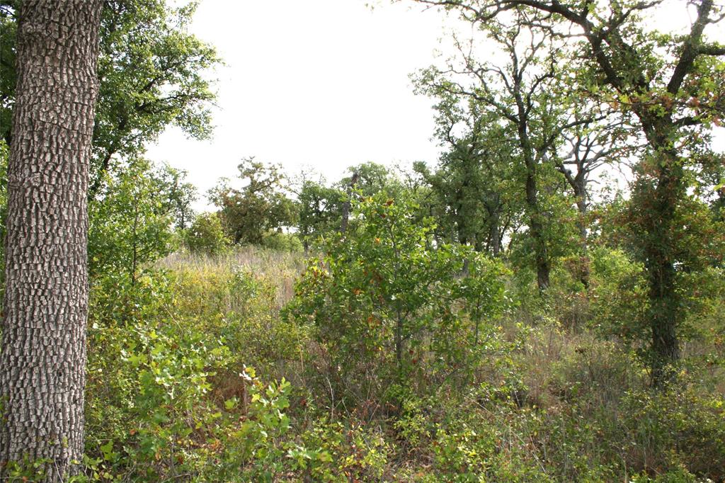 7-R Ranch - Land