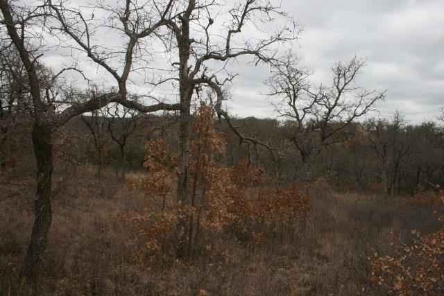 7-R Ranch - Land