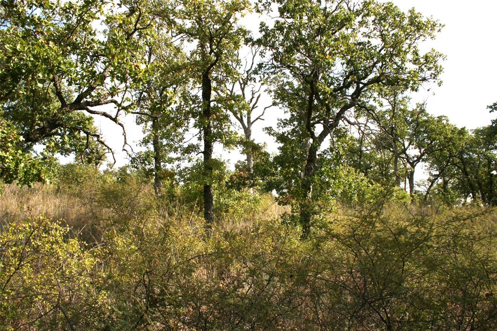 7-R Ranch - Land