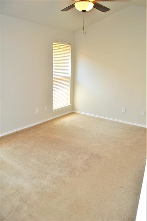 Wilson Terrace 2 Rep - Residential