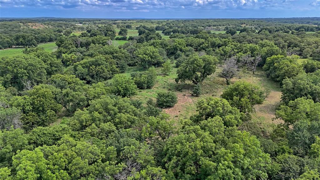 Nocona - Farm
