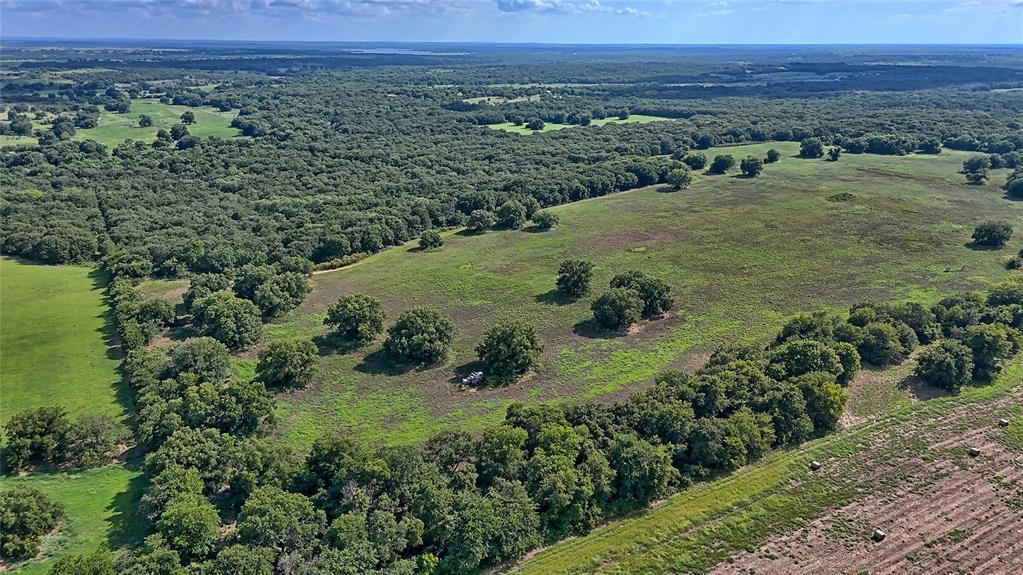 Nocona - Farm