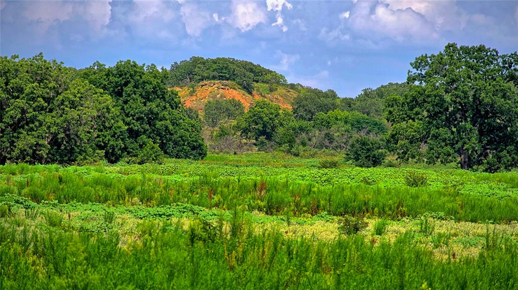 This 352.225-acre property is a rare find in Montague County.  Whether you are looking for amazing hunting, a residence, a farm, a weekend getaway, or a business venture, this property offers endless possibilities.  
Located on FM 103 between Lake Nocona and Spanish Fort, this land is full of nature and natural beauty.   The elevation changes, Farmer’s Creek, ponds, fields, and the many trees create picturesque scenery and spectacular views.  
The property includes 2 water wells, one of which is drilled to the Trinity.  There is a large barn and a set of cattle pens near the front.  
This property is a must see!  Come and enjoy watching the many types of wildlife while also discovering the peace and tranquility this land has to offer!  
There are no active oil wells on this property.  The property is cross-fenced.
Seller will sell the minerals owned for an additional cost.
New survey was just completed.  Buyer will be responsible for paying half of the survey cost.