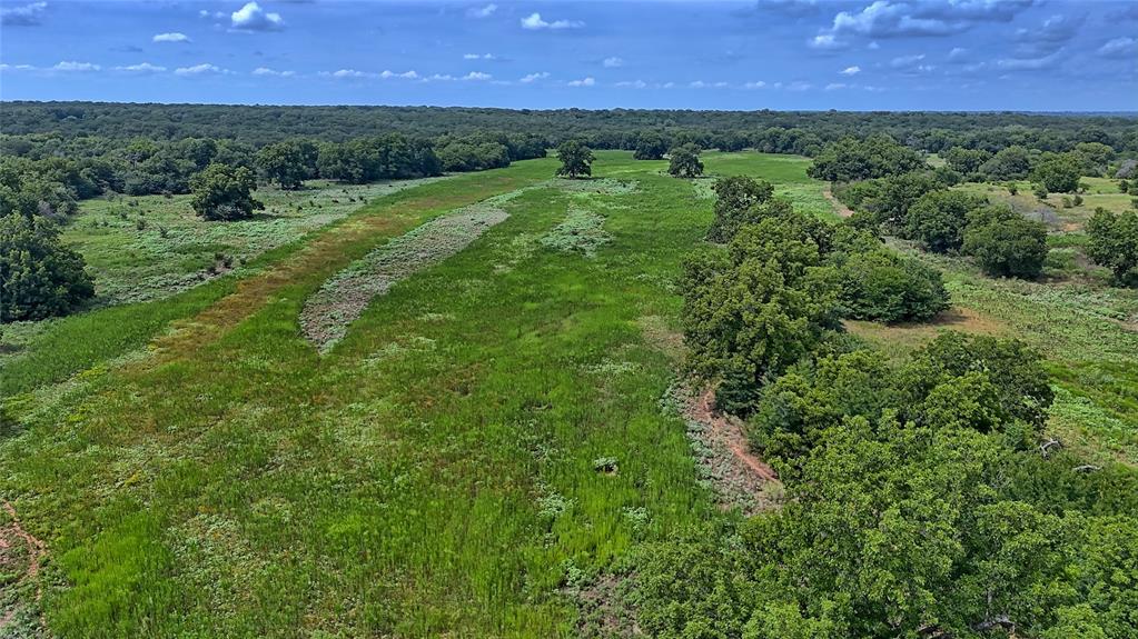 Nocona - Farm