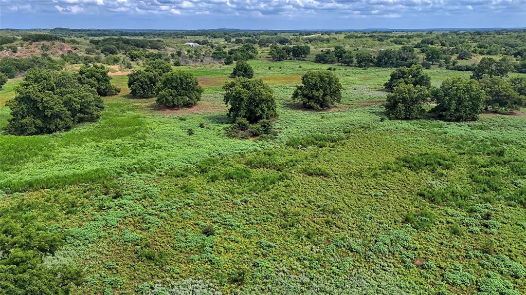 Nocona - Farm