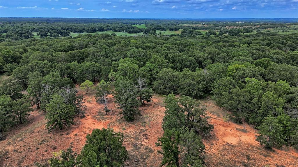 Nocona - Farm