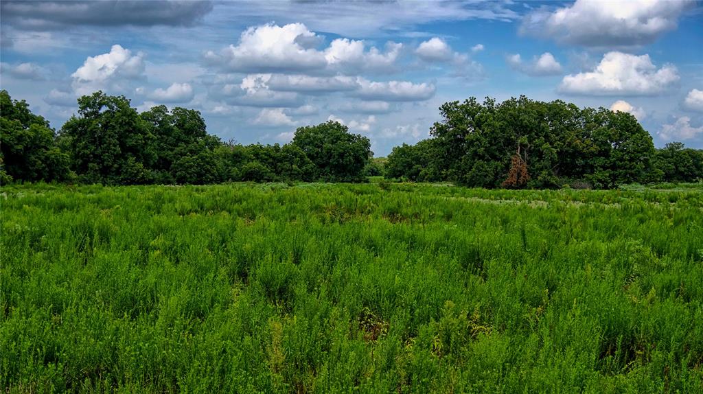Nocona - Farm