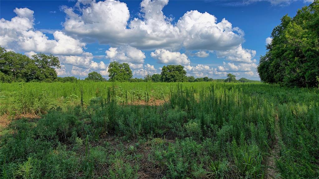 Nocona - Farm