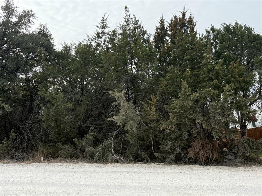In a very quiet part of the subdivision sits this lot on a hill. Newly built homes close by. .  Low traffic area!  Start your new Year off with a new built home and this is the lot for you!  Canyon Creek offers front gate security, pools, tennis courts, playground and a ballfield.  The community also offers boat launches onto beautiful Lake Granbury.    Water & Sewer has been PAID..... included in this price!!!!