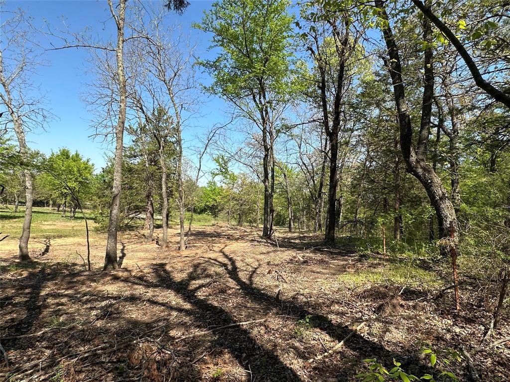 Bailey Court - Land
