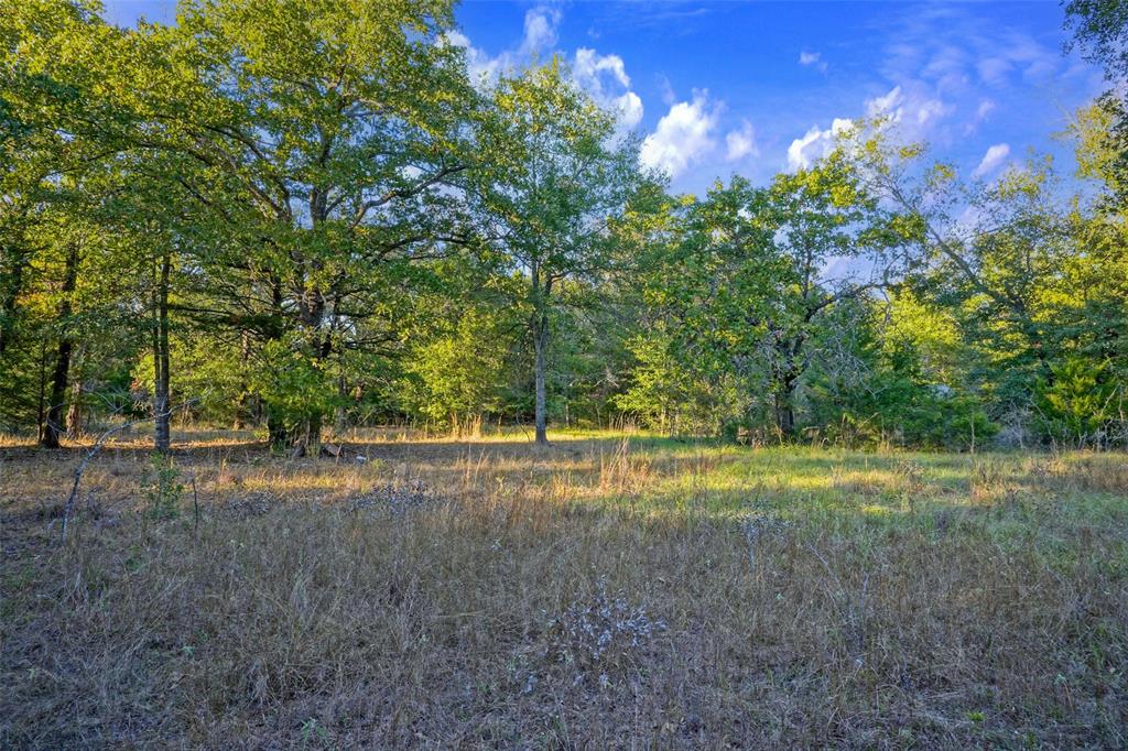 Just a few miles north of Teague, this 5-acre wooded tract offers an ideal setting to build your dream home. Covered in a mix of towering pines, hardwoods, and cedars, the property provides natural privacy while still leaving plenty of room to carve out a homesite, shop, and outdoor living space.
Whether you’re planning a full-time residence or a weekend retreat, this property offers a peaceful setting with the flexibility to make it your own. The wooded landscape creates a scenic backdrop, while also allowing you to clear as much or as little as you’d like to fit your vision.
Located in Teague ISD with convenient access to town and I-45, you get the feel of being tucked away without sacrificing accessibility. If you’ve been looking for a place to build in a quiet, natural setting, this is one worth seeing.
