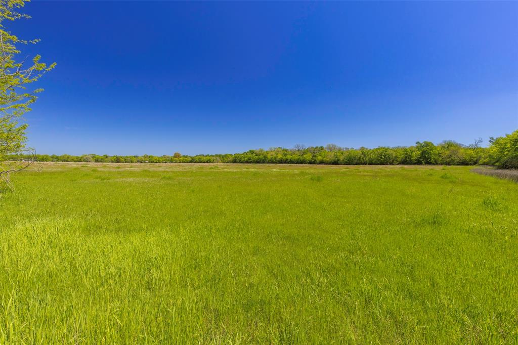 none - Land