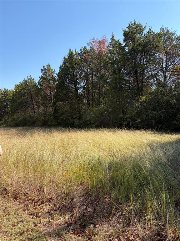 Excellent development opportunity located south of Dallas, TX, just off I-20 and Bonnie View Road. This 0.9-acre lot is situated in a growing area with strong potential for new residential construction. The property includes an easement and offers convenient access to major highways, Downtown Dallas, and surrounding developments. Ideal for builders, investors, or buyers seeking land in an area poised for growth. Buyer to verify zoning, utilities, and development requirements.
