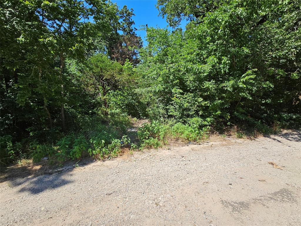 Bird Hill Estates Add - Land
