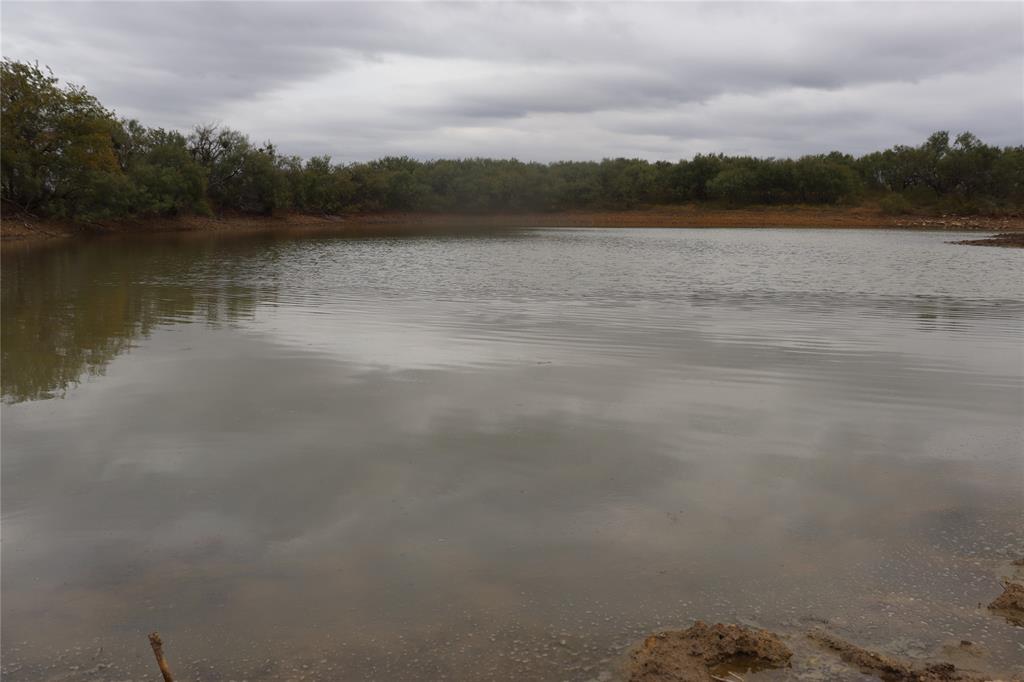 293.96 Acres Coleman County

Asking price: $880,000.

Excellent hunting: Deer, hogs, turkey, dove, and quail.

216 Acres in improved grass.

77.96 Acres in heavy brush.

2 Good Ponds.

Coop water and electricity available.

Located on CR 143. The northwest corner touches HWY 206.

Approximately 13 miles northeast of Coleman.