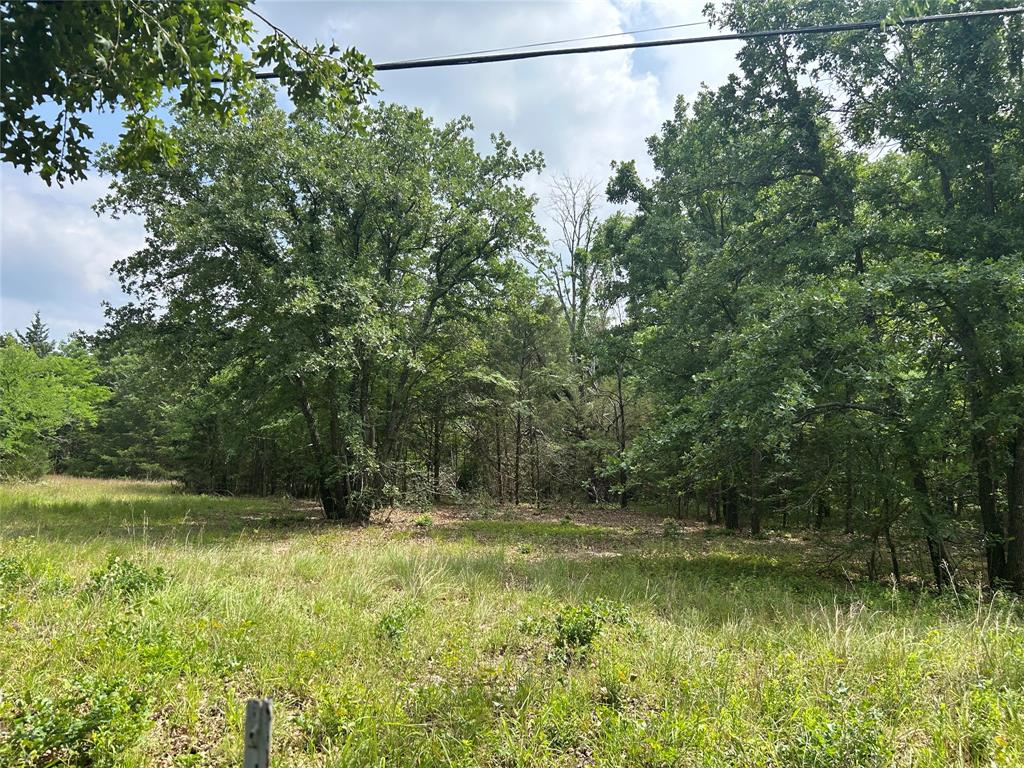 LOT 1 of Emerald Oaks 1.98+- acres of heavily treed land waiting for you build your dream barndo or manufactured home. Look no further, this 256 X 338 (lot size provided by plat). Enjoy the peace and privacy of country living with the convenience of being just minutes from Lake Tawakoni, offering year-round boating, fishing, and outdoor recreation. and enjoy nature. Utilities at the road. Plat & deed restrictions loaded in transaction desk. Priced to sell.