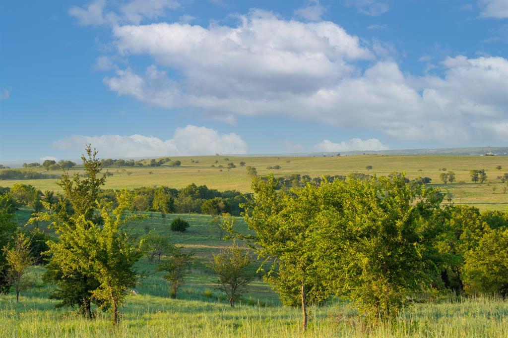 Bear Creek Ranch - Land