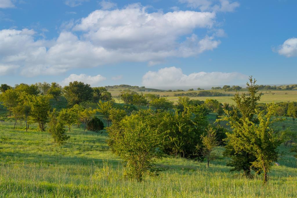 Bear Creek Ranch - Land