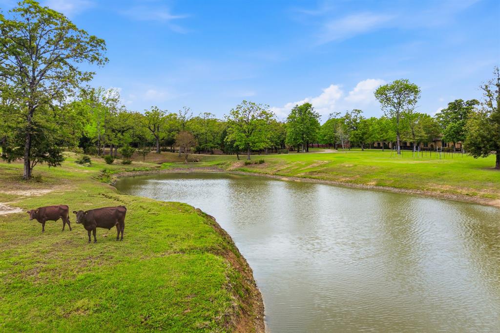 Buck Branch Ranch - Residential