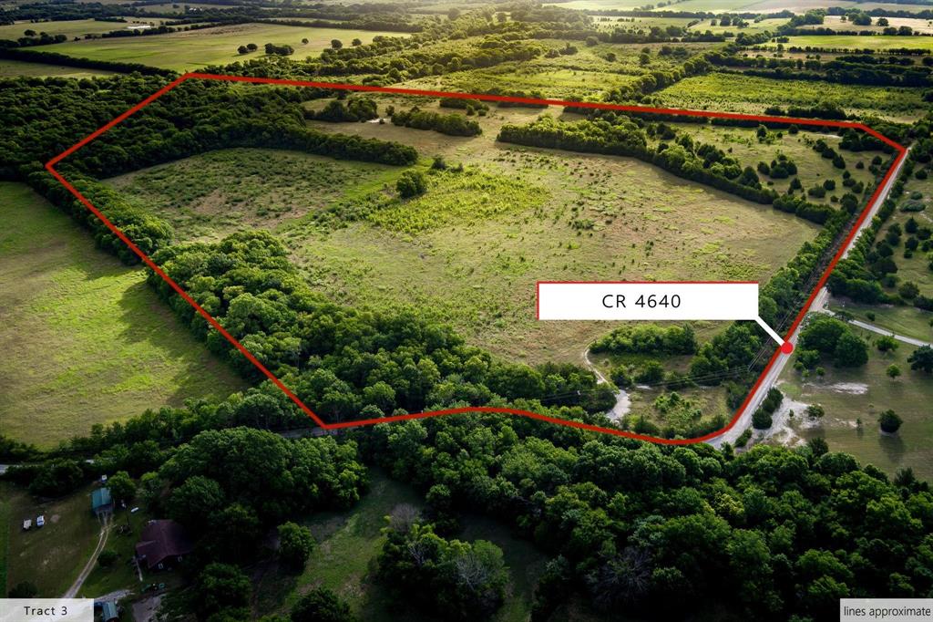 Stunning 84.61 ACRES on County Road 4060 in Trenton. Come see this undisturbed tract with so many possibilities! Beautiful Cottonwood Creek and Brushy Creek border this great land. Lots of wildlife! Come see this one in person.