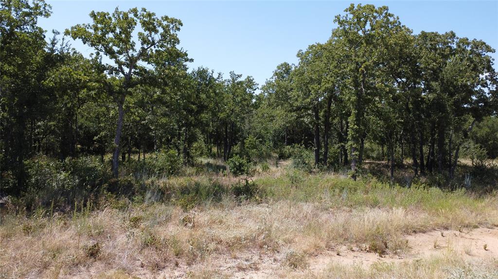 Paradise Oaks Ranch - Land
