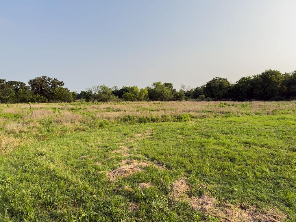 ELM BRANCH - Land