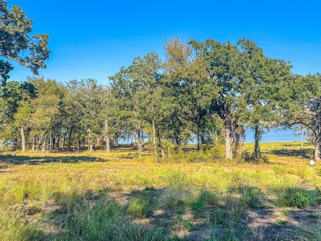 Carmel Valley Estates - Land