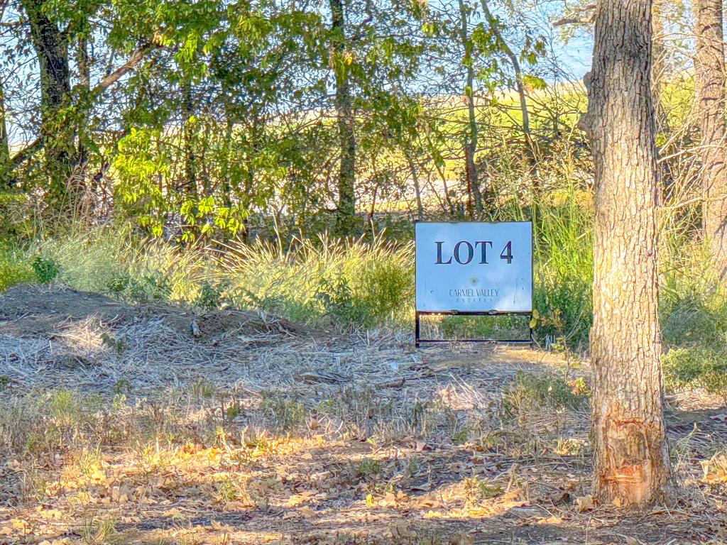 Carmel Valley Estates - Land