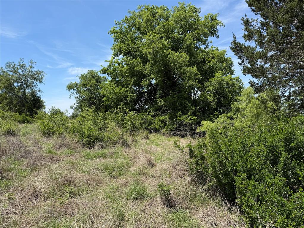 Ranches at Hamilton Ridge - Land