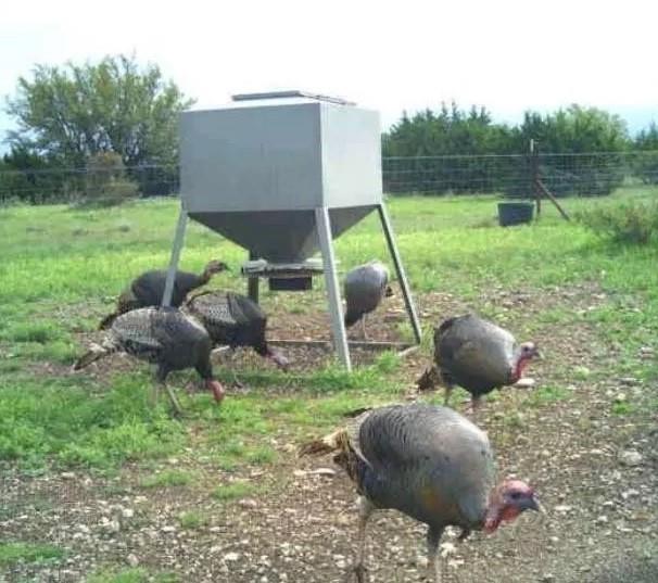 na - Farm
