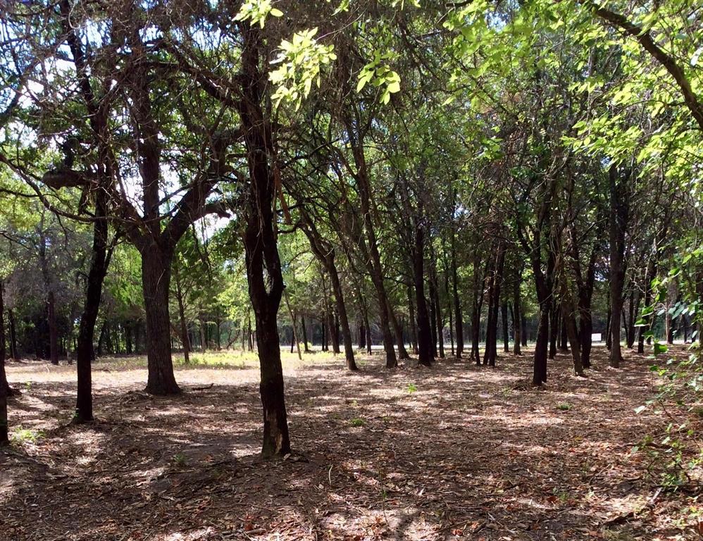 The Ranches at Blackjack Meadows - Land