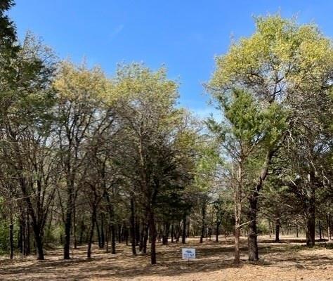 The Ranches of Blackjack Meadows is a wonderful new development located in far south end of Nocona, Montague County.. Lot 57 is 3.56 acres situated on the main road, Blackjack Parkway.... This lot, with all its large Native trees,  is just waiting for you and your builder to come and make this your dream place. All roads are completed, electrical Poles are up and Fiber Optic Internet Service has been buried. Come check out this hidden gem of a sub-division, give me a call, love to meet you out there to talk about Lot 57 !