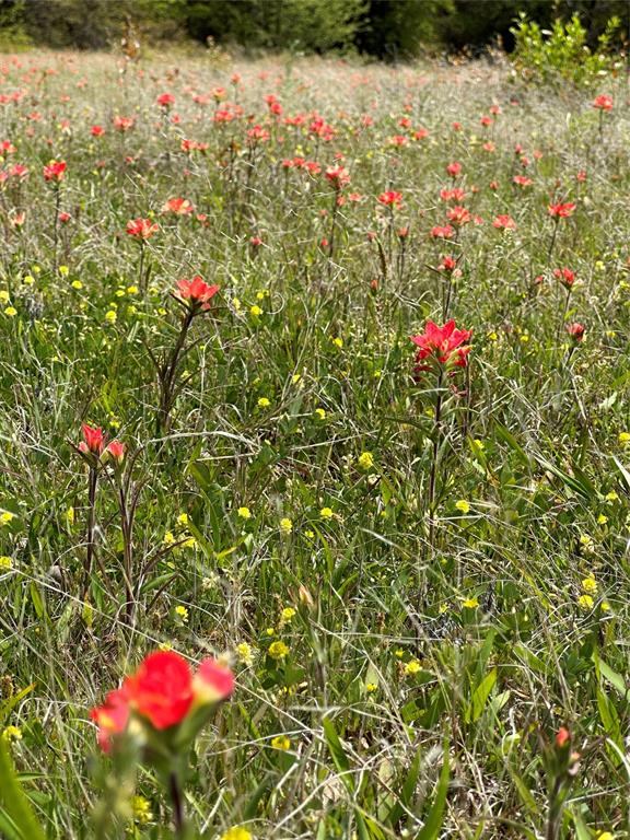 The Ranches at Blackjack Meadows - Land